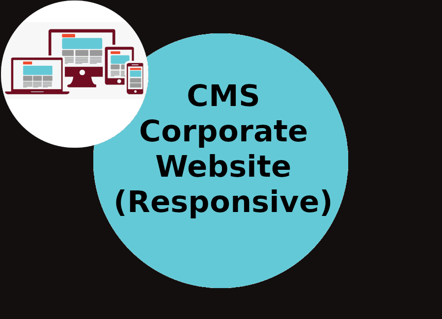 responsive website